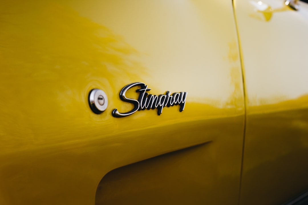 Stingray Launches Music Channels on Amazon Prime Video for Free Access